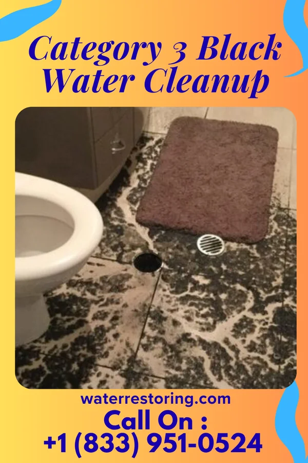 Category 3 Black Water Cleanup in Lime Springs, IA