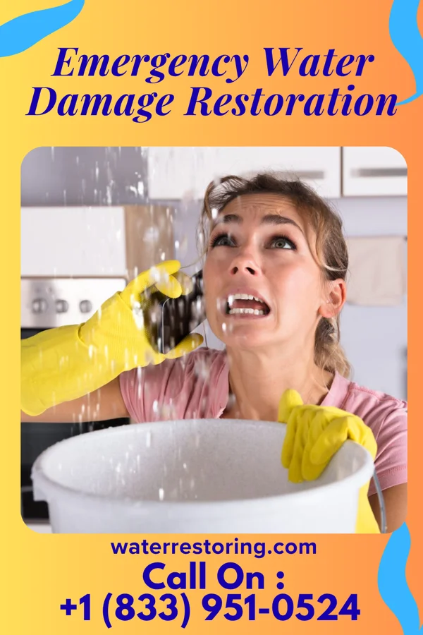 Emergency Water Damage Restoration in Lime Springs, IA